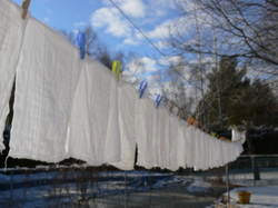Cloth Diapers Hanging to Dry
